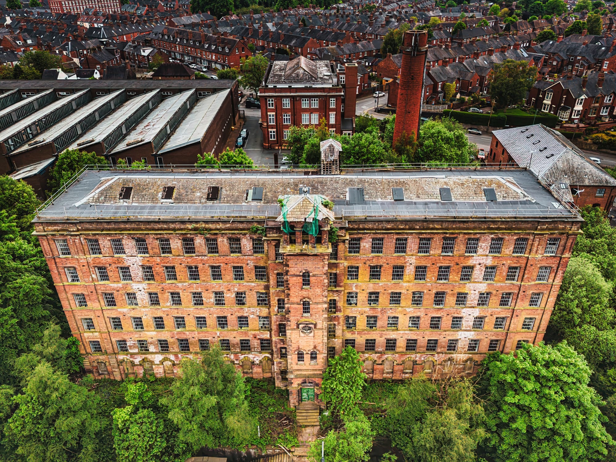 Big Mill Leek - Image by Jenna Goodwin - The Red Haired Stokie